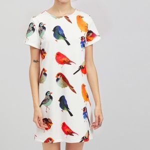 Short sleeve Bird print dress NWT!